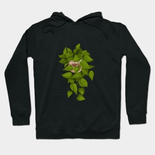 Jade Pothos Plant Illustration Hoodie